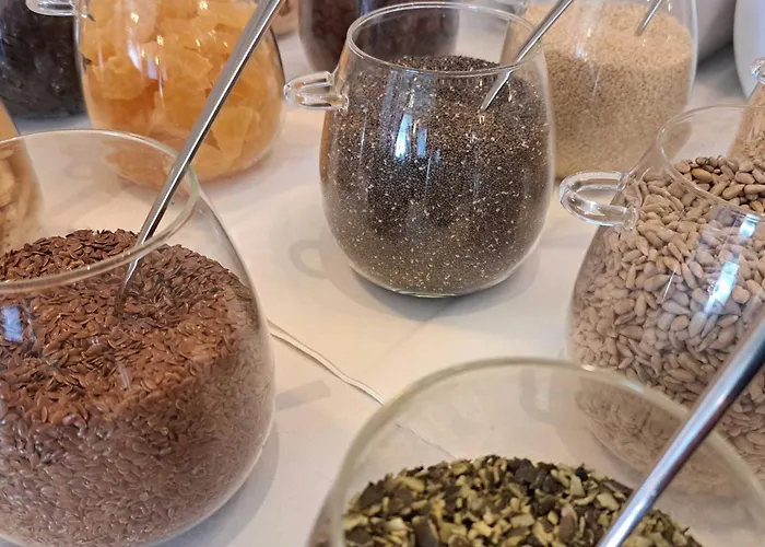 弗齐帕拉斯特酒店