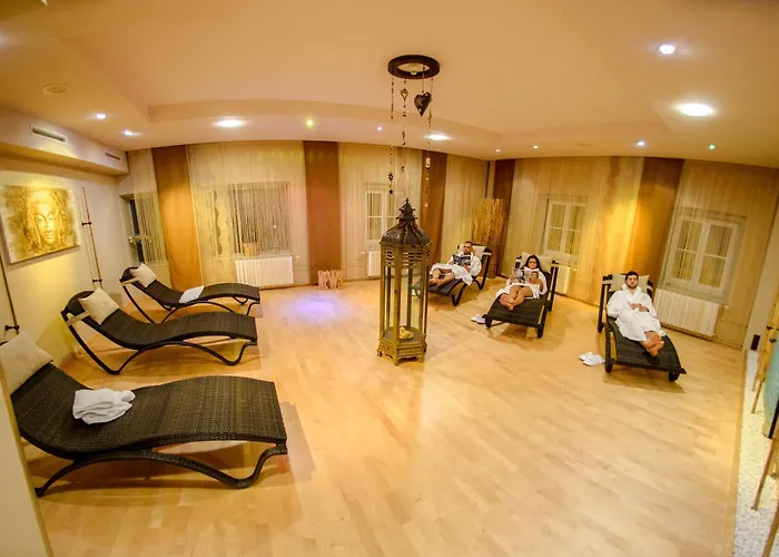 弗齐帕拉斯特酒店 酒店