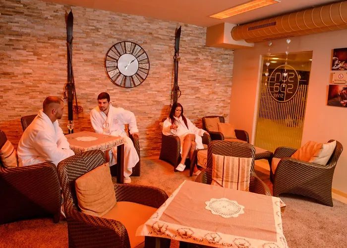 弗齐帕拉斯特酒店 4*